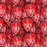 Stade-Brestois-29.jpg