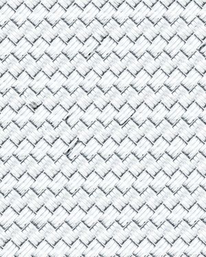 Stainless Steel Braided Hose 22