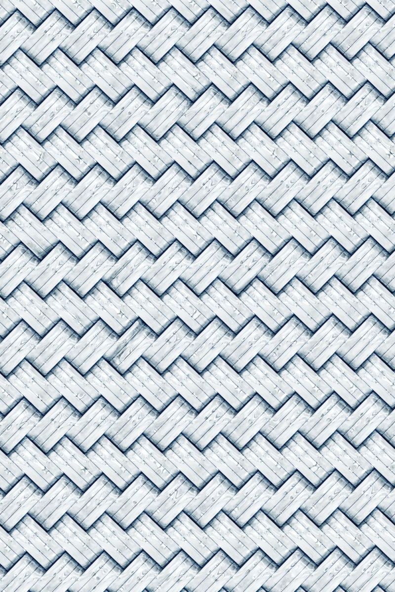 Stainless Steel Braided Hose 23