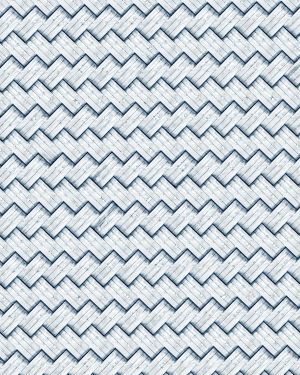 Stainless Steel Braided Hose 23