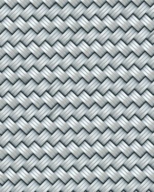 Stainless Steel Braided Hose 24