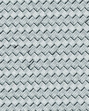 Stainless Steel Braided Hose 25