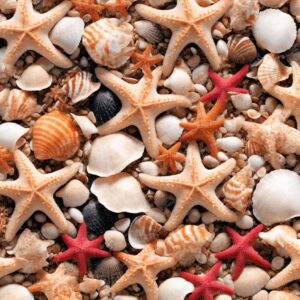 Starfish and Sea Shells