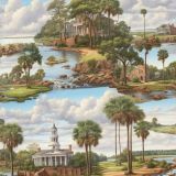 State-of-South-Carolina.jpg