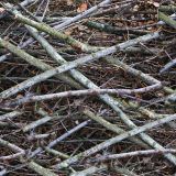 Stick-andd-Leaf-Camo-32-1.jpg