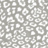 Stone-Leopard.jpg
