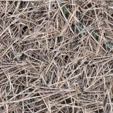 Straw.jpg