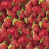 Strawberries-22.jpg