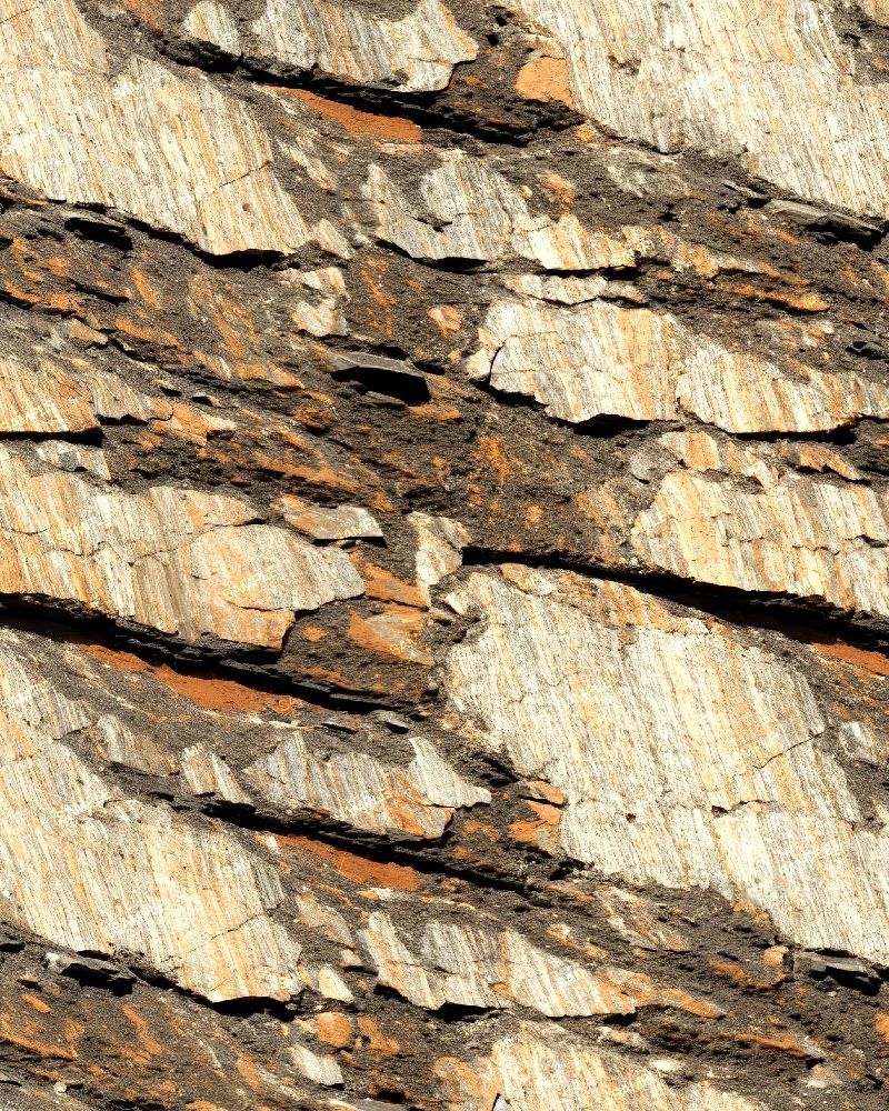 Striated Fault Plane in Sedimentary Rock