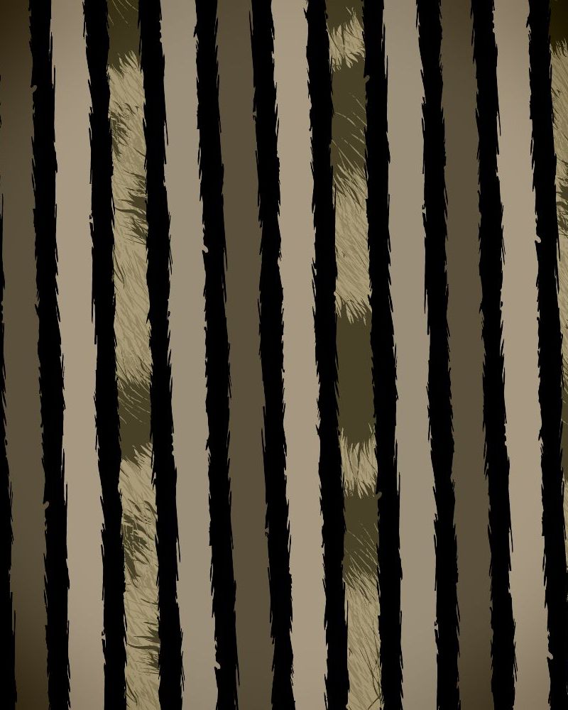 Striped Camouflage 23