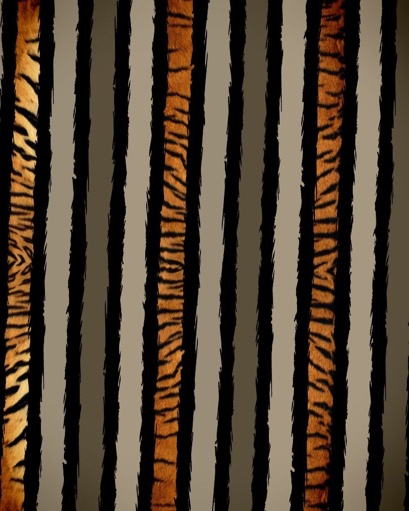 Striped Camouflage 25