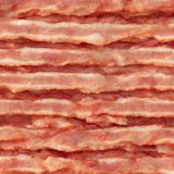 Strips-of-Bacon-44.jpg
