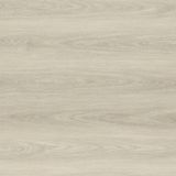 Strong-Oak-24-thumb.jpg