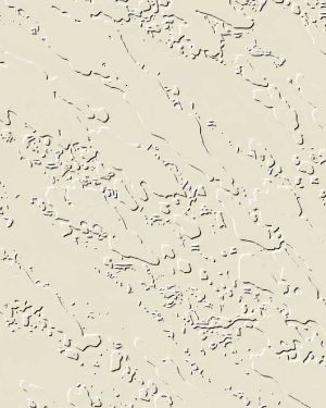 Stucco Wall Texture