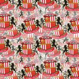 Sunderland-AFC.jpg