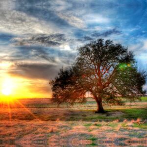 Sunset 23