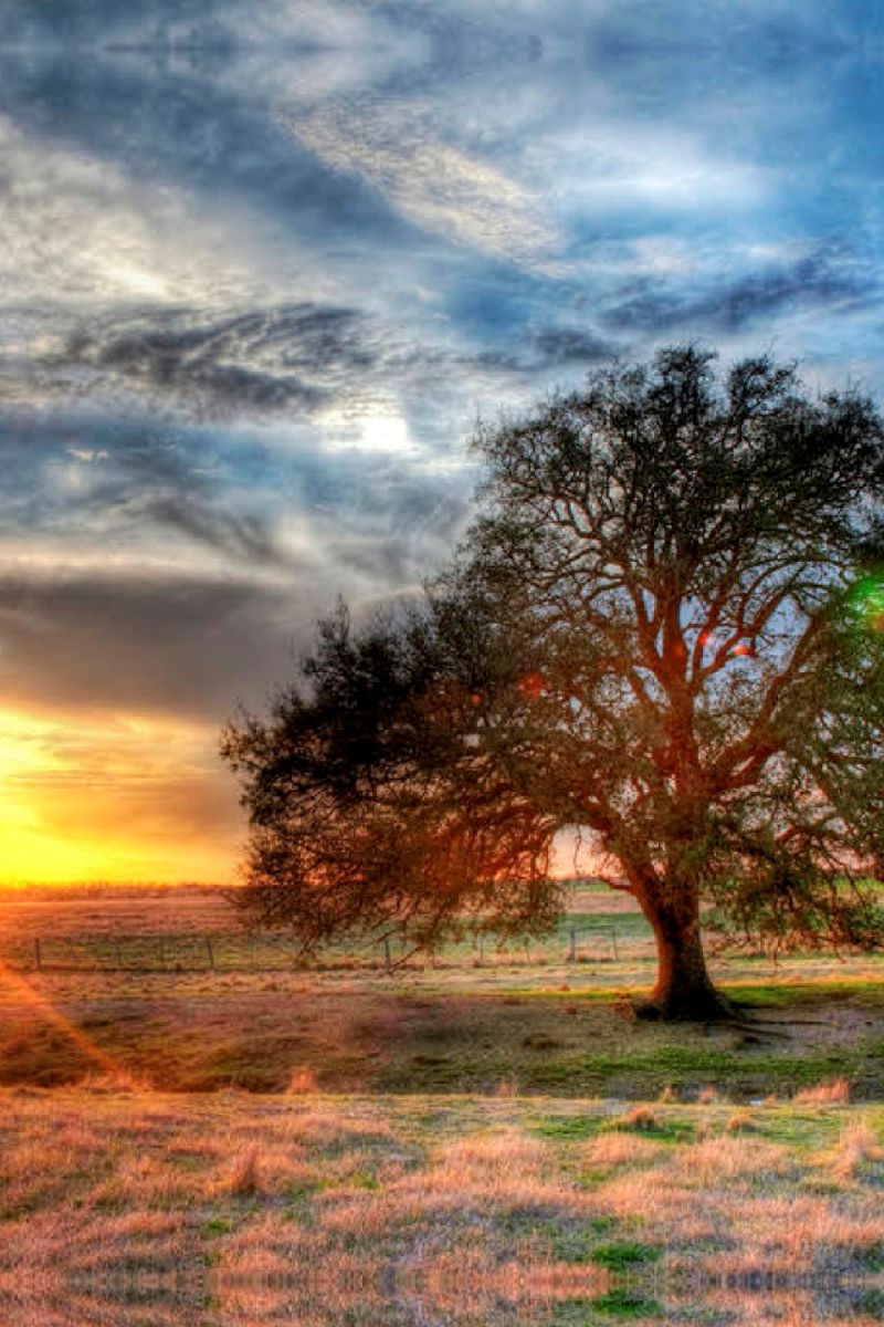 Sunset 23