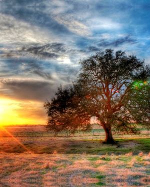 Sunset 23