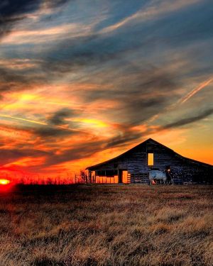 Sunset 24