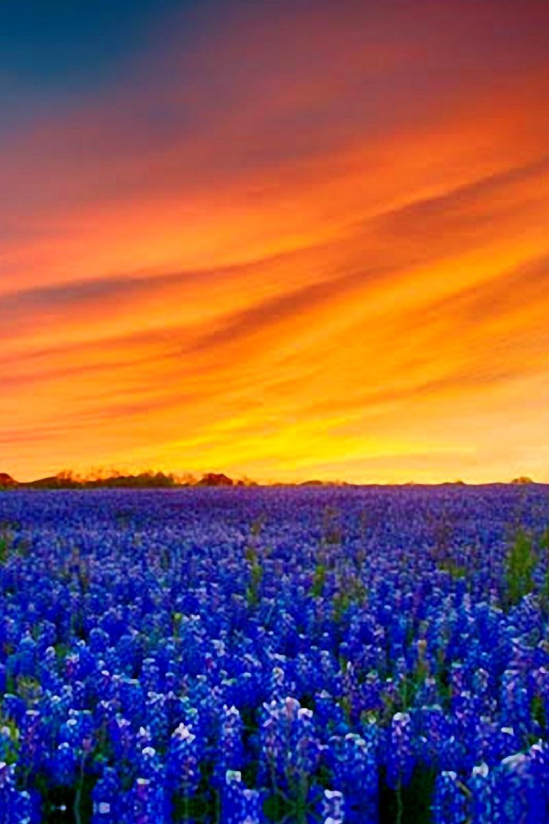 Sunset 26