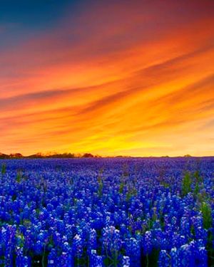 Sunset 26
