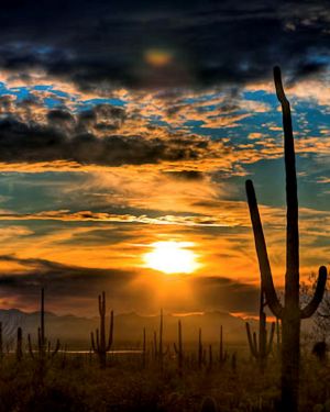 Sunset 27
