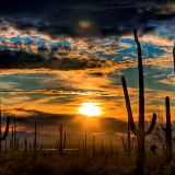 Sunset-27.jpg