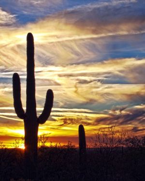 Sunset 28