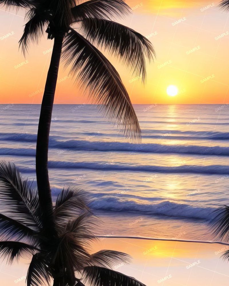 Sunset Beach 43