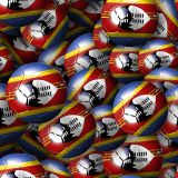 Swaziland-Soccer-Balls.jpg