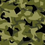 Swedish-M90-Forest-Camo.jpg