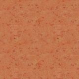Sweet-Potato.jpg
