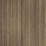 Swiss-Elm.jpg