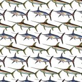 Swordfish-23.jpg