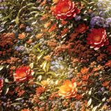 Symphony-of-Nature.jpg