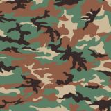 Syrian-22-Camo-thumb.jpg