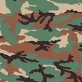 Syrian-Woodland-Camo-thumb.jpg