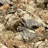 Tactical-Camo-112.jpg