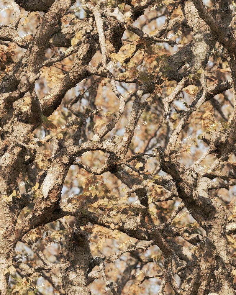 Tactical Camo 203