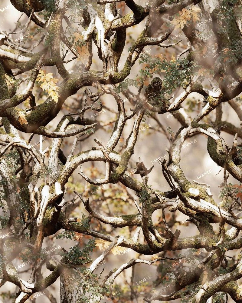 Tactical Camo 205