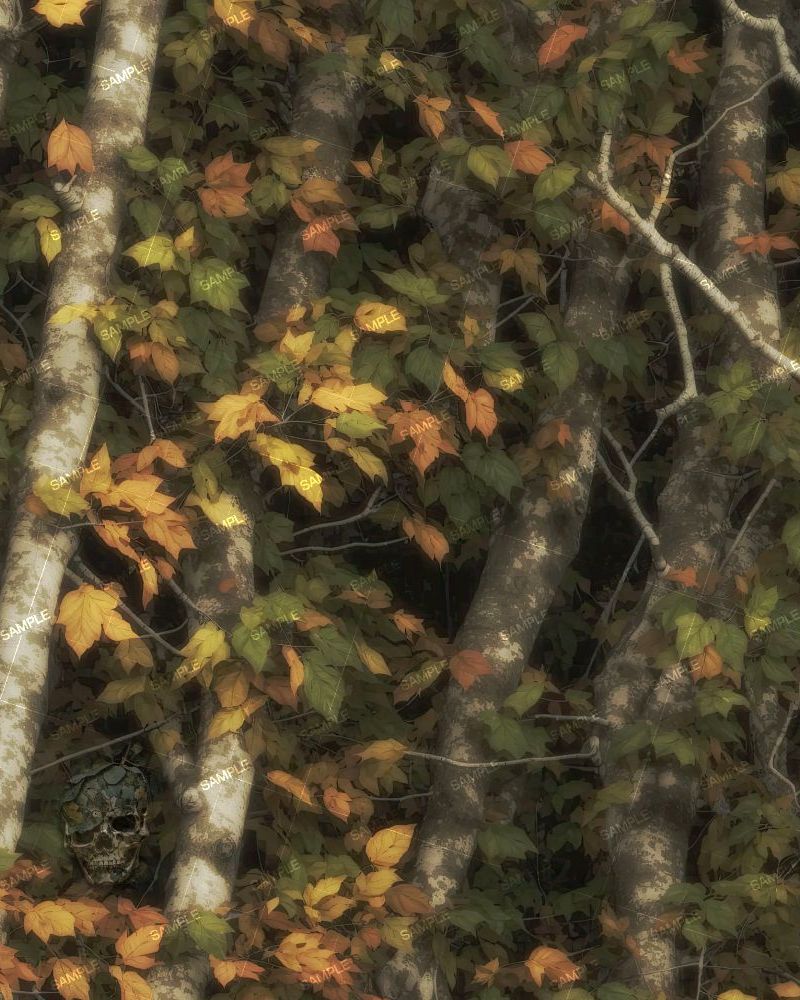 Tactical Camo 206