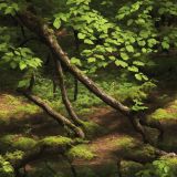 Tactical-Camo-213.jpg