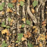 Tactical-Camo-62-1.jpg
