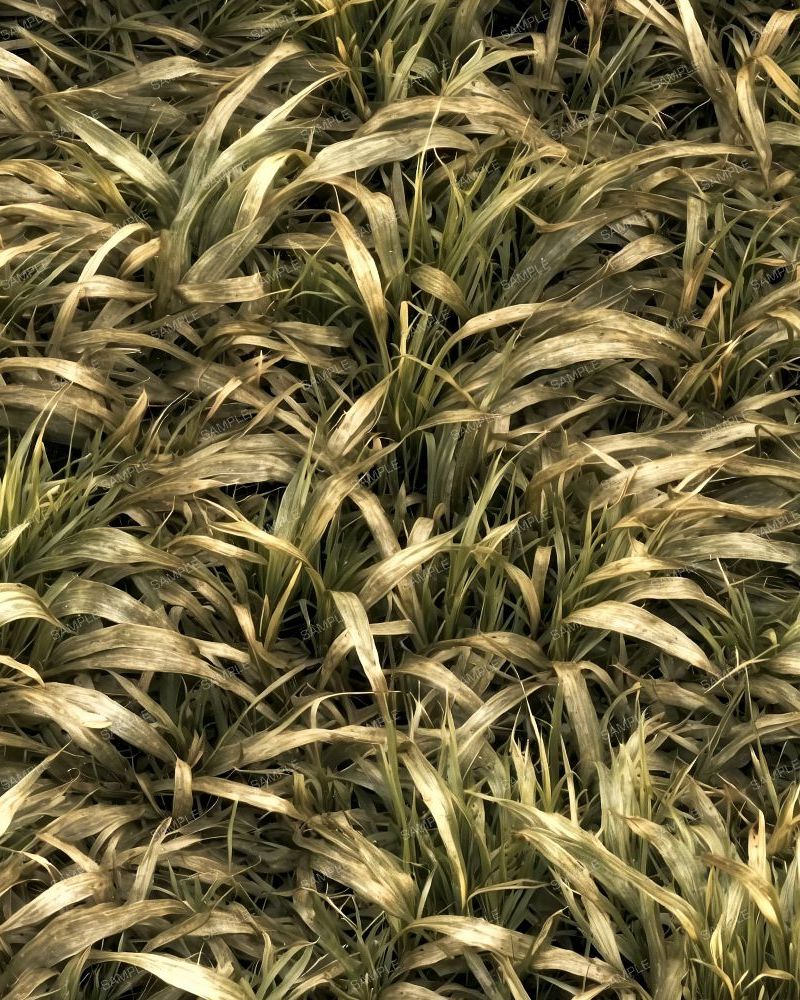 Tactical Camouflage 64