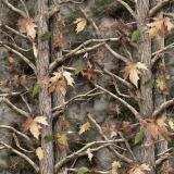 Tactical-Camo-71.jpg