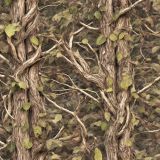 Tactical-Camo-82.jpg