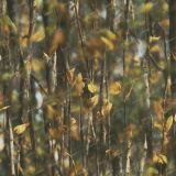 Tactical-Camo-84.jpg