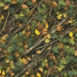 Tactical-Camo-85.jpg