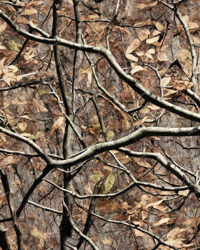 Tactical Camouflage 88