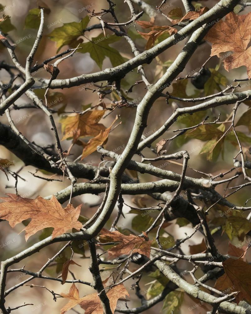 Tactical Camouflage 90